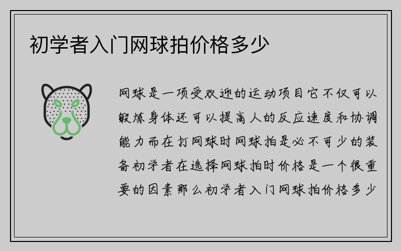 初学者入门网球拍价格多少