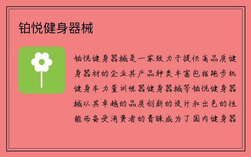 铂悦健身器械