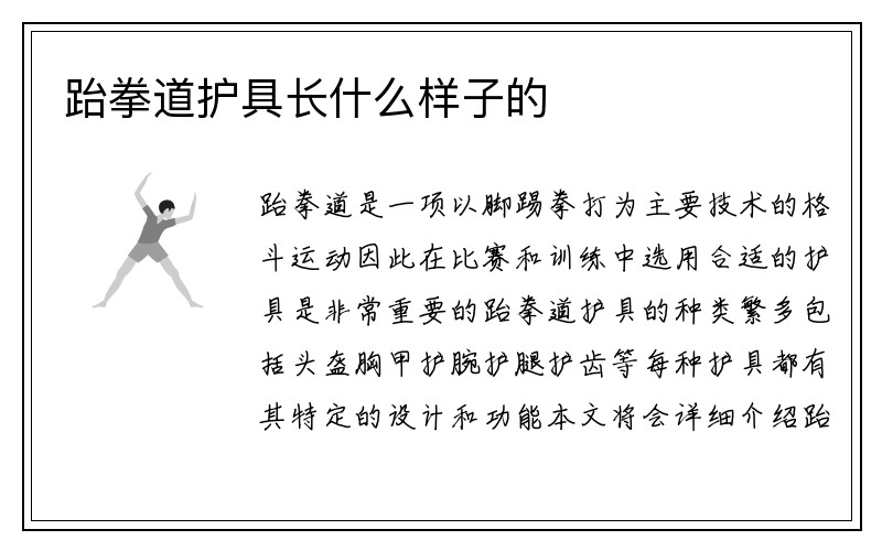 跆拳道护具长什么样子的