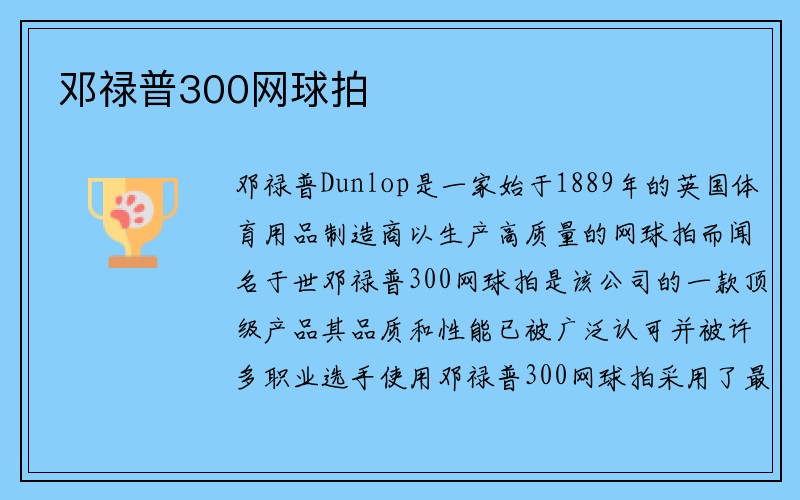 邓禄普300网球拍