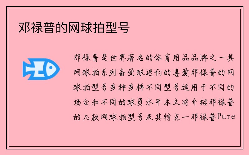 邓禄普的网球拍型号