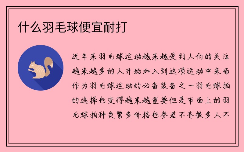 什么羽毛球便宜耐打