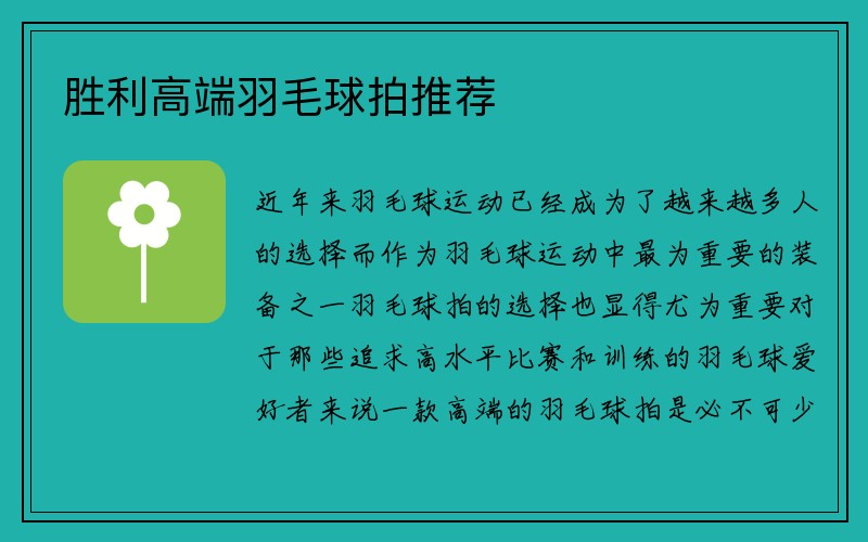 胜利高端羽毛球拍推荐