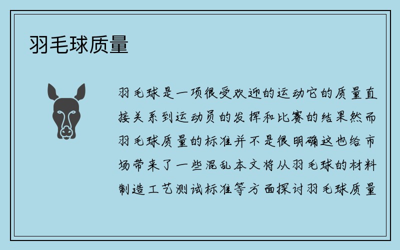 羽毛球质量